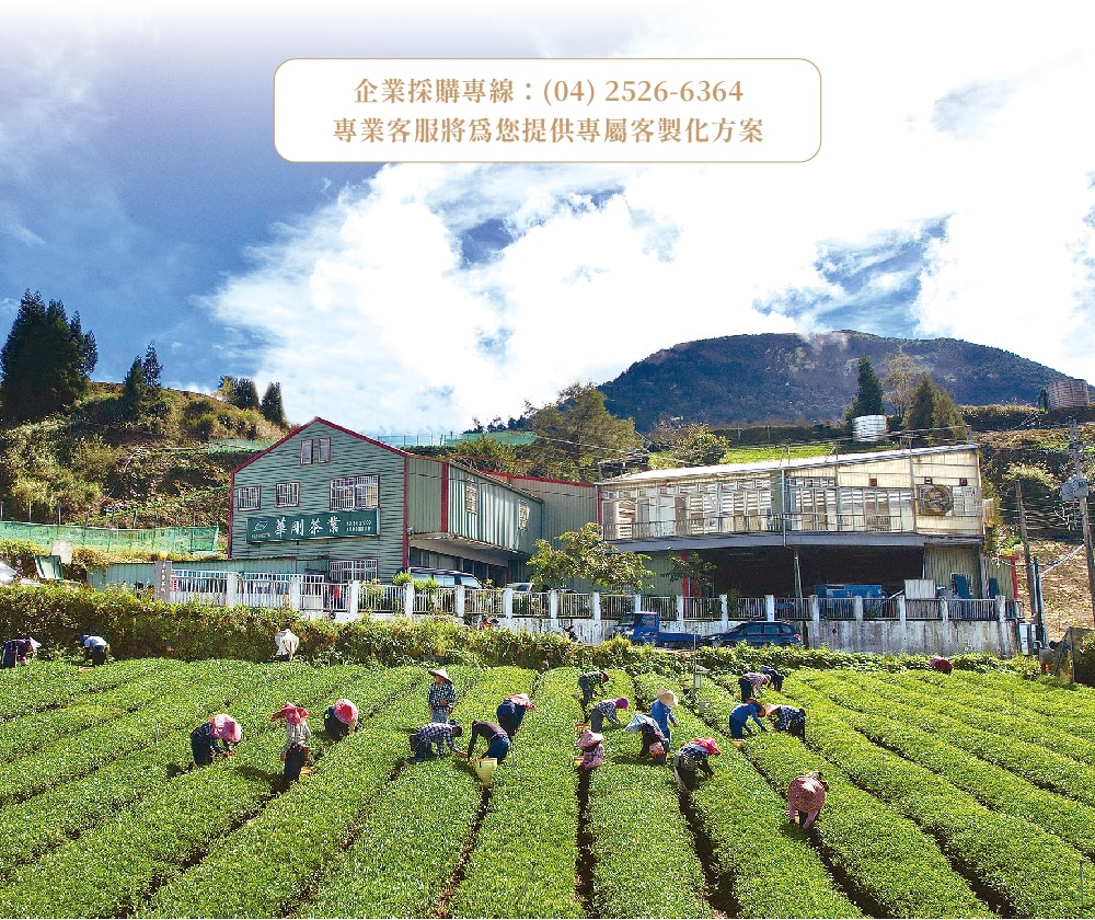 華剛茶業_中秋-最新消息_260731_區域5 華剛茶業_中秋-最新消息_260731_區域5