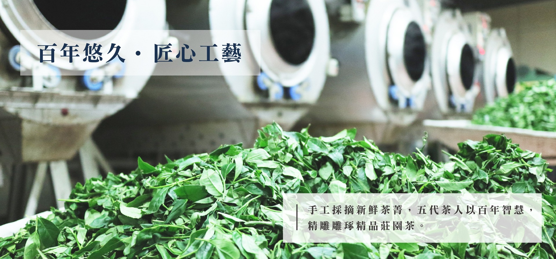 君臨內圖-12