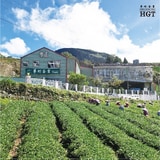 冬陽｜華崗高冷紅茶第6張小圖