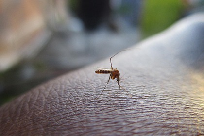 防蚊到底怎麼防？