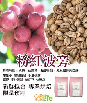 薇拉 小農精選 粉紅波旁 半磅*2包