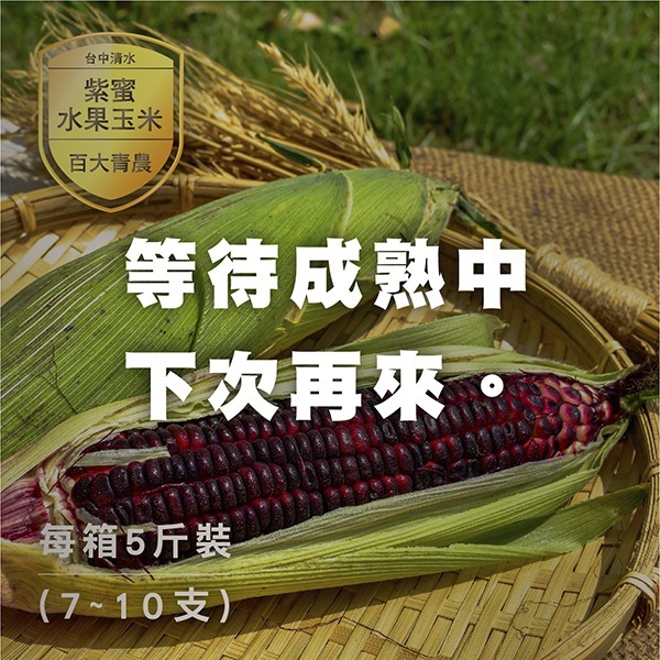 百大青農-紫蜜水果玉米 百大青農-紫蜜水果玉米