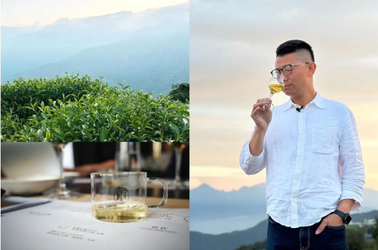 【口碑報導】高山茶要怎麼泡才好喝？百年茶廠華剛第五代杜蒼林　用科學種出日本最高金賞茶王