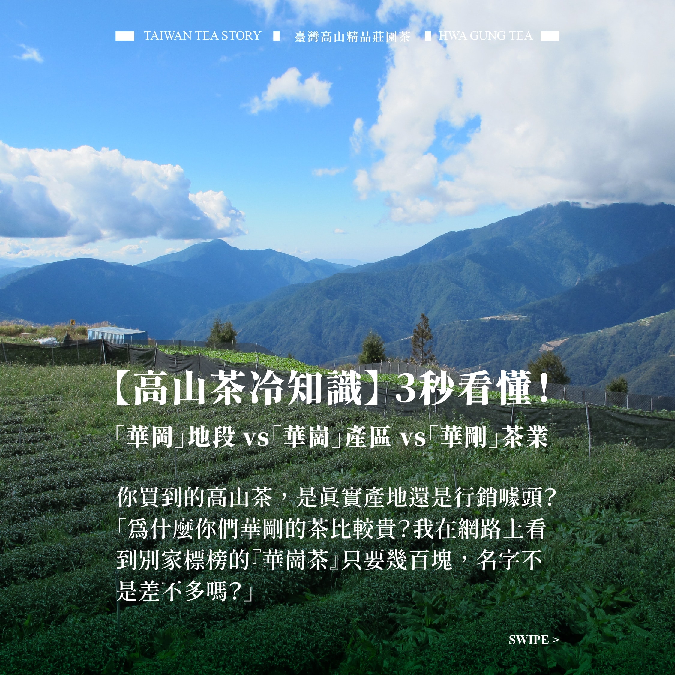 【生活茶誌】地政地段叫「華岡」，產地稱「華崗」！揭開你不知道的高山土地冷知識