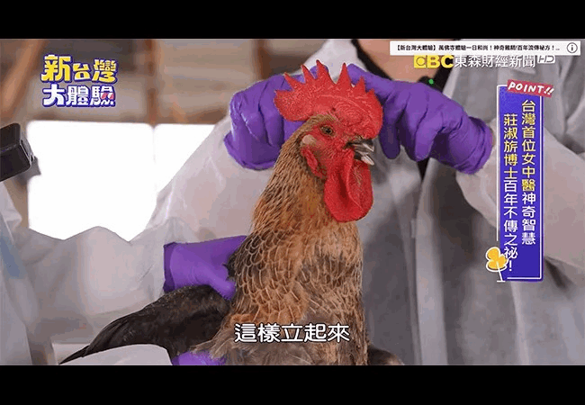 《新台灣大體驗》百年流傳的祕方！