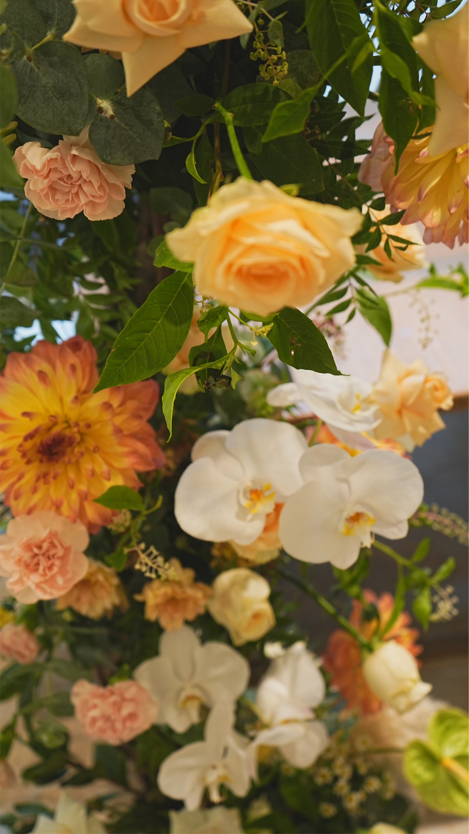 LINE_ALBUM_202385_230812_32