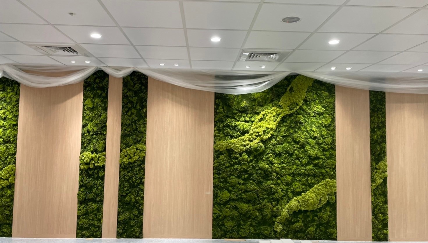 綠植商業佈置