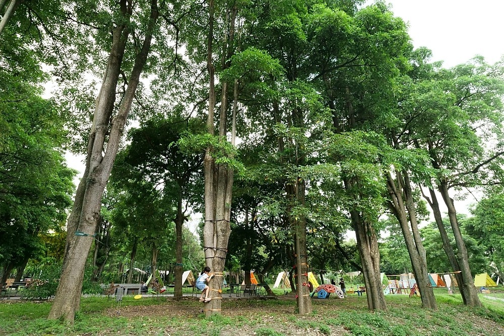 清水那方豪華露營森林遊戲區 清水那方豪華露營森林遊戲區