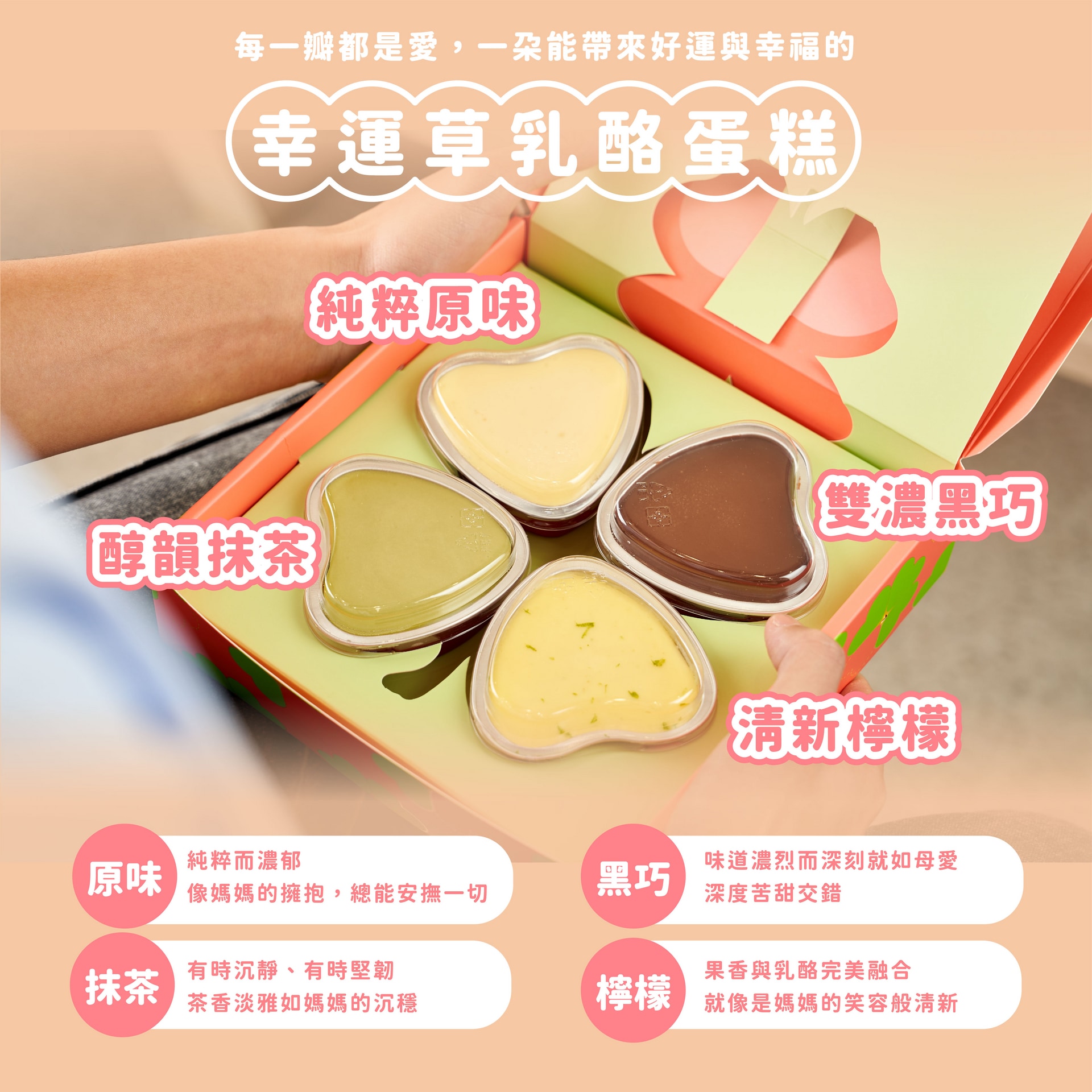 圖片8
