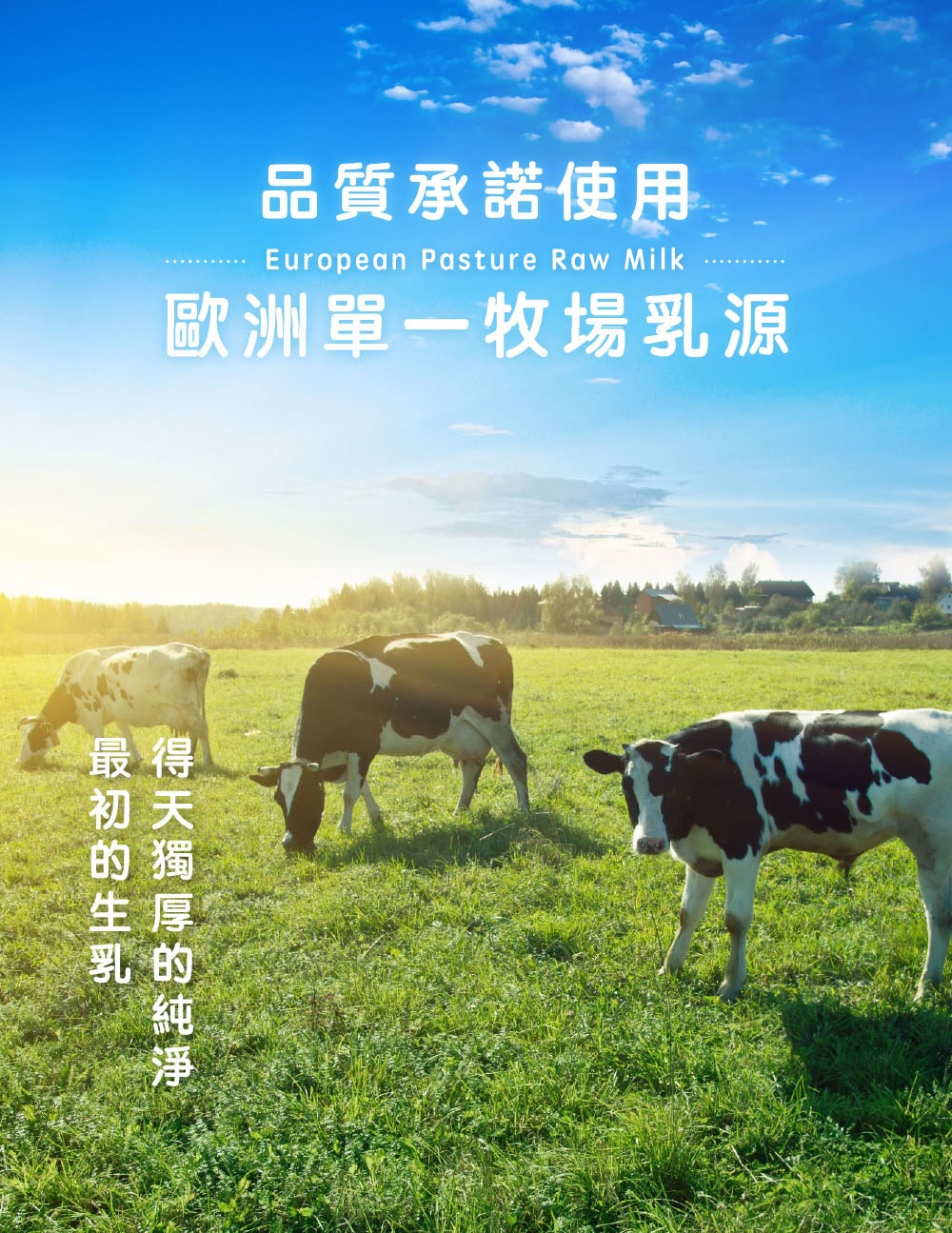 05世界榮耀牛乳區_巧克力版_01