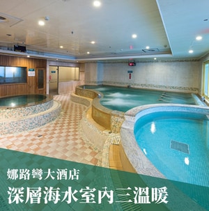 娜路彎大酒店三溫暖套券組(10張)