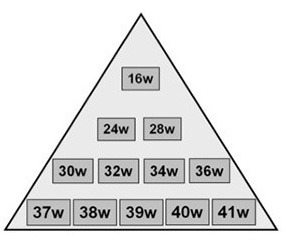 (圖一)金字塔產前檢查模式