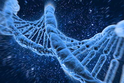 X 染色體脆折症帶因者篩檢