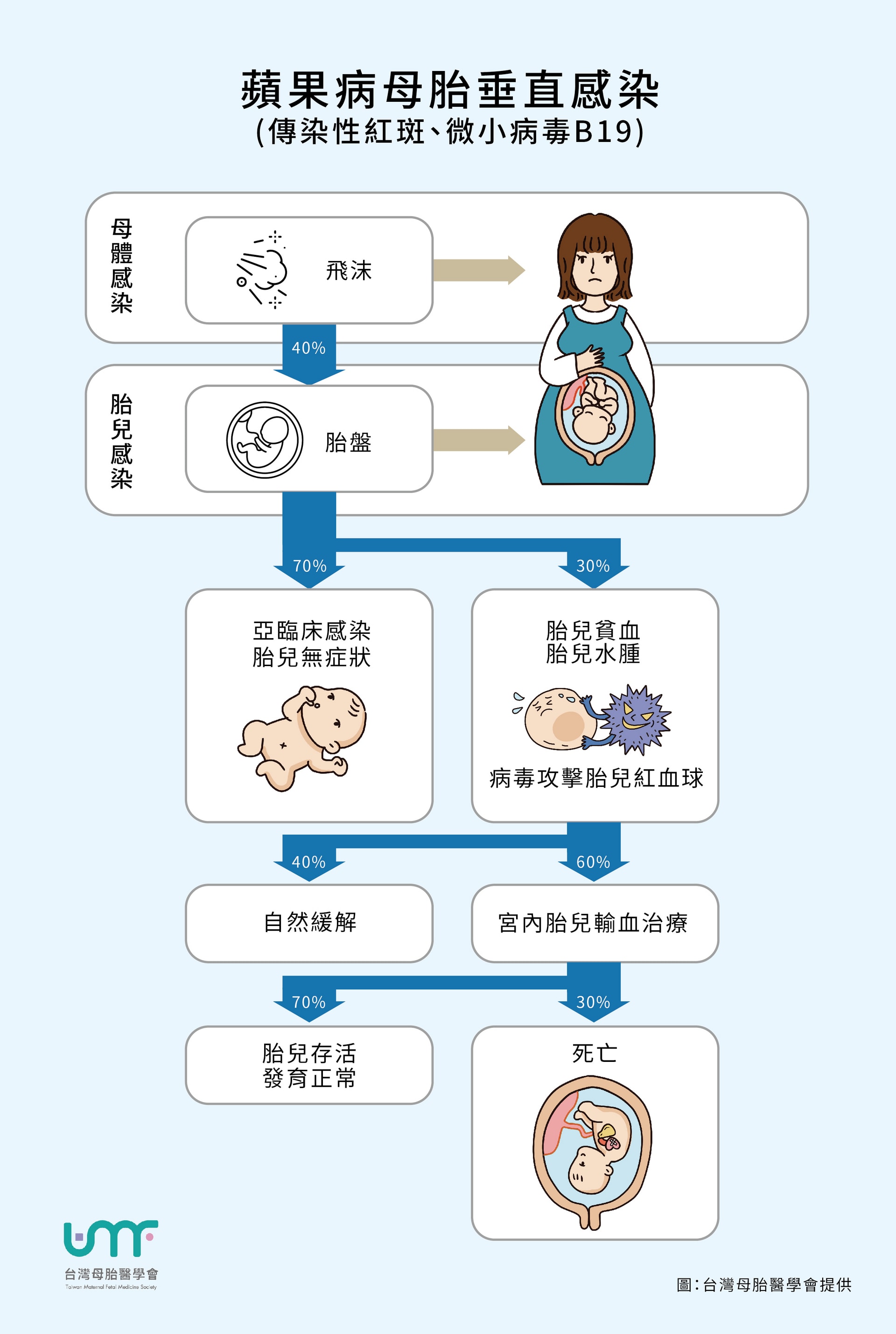 防範懷孕期間的微小病毒B19感染-台灣母胎醫學會的提醒