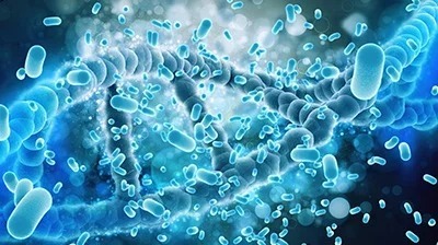 夏の熱中症は解決できる?アレに頼る? 夏の熱中症は解決できる?アレに頼る?
