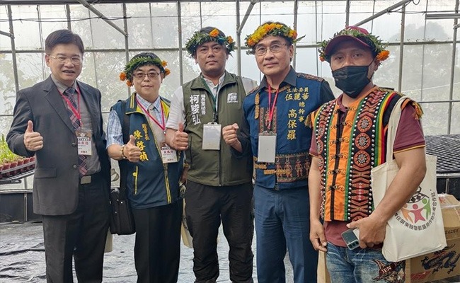  魯凱草本