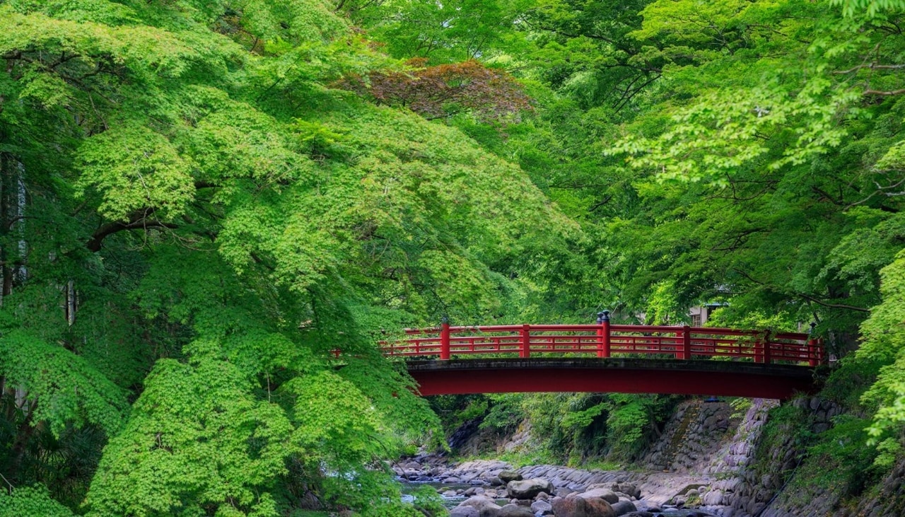修善寺溫泉也是日本泡湯必去的地方，溫泉水質柔和，對皮膚有很好的保養效果，吸引許多人來此放鬆身心。