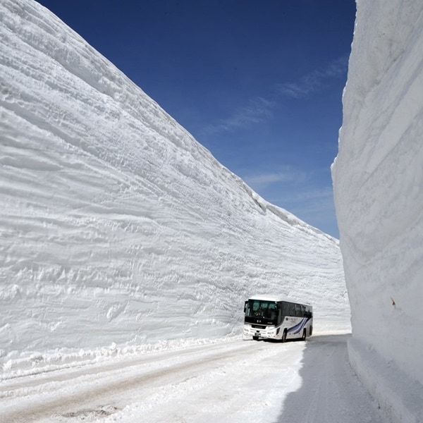 【日本旅遊特蒐】立山黑部不只是雪壁壯觀,7種交通路線賞四季美景