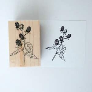 【MA7 stamp】黑莓 MNS-135