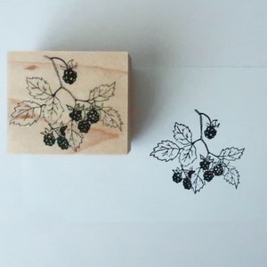 【MA7 stamp】覆盆莓 MNS-136