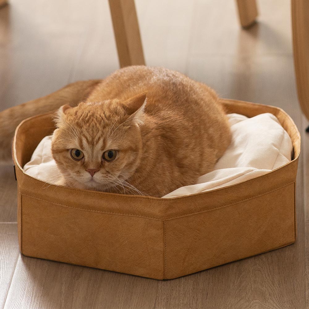 六角寵物四季通用窩墊_首圖_1