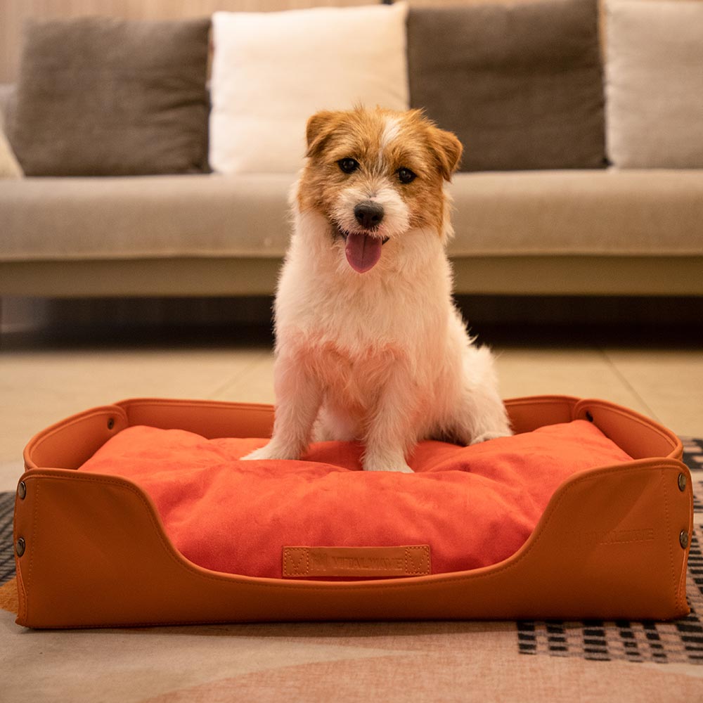 皮革絨感寵物矩形窩墊_首圖_1