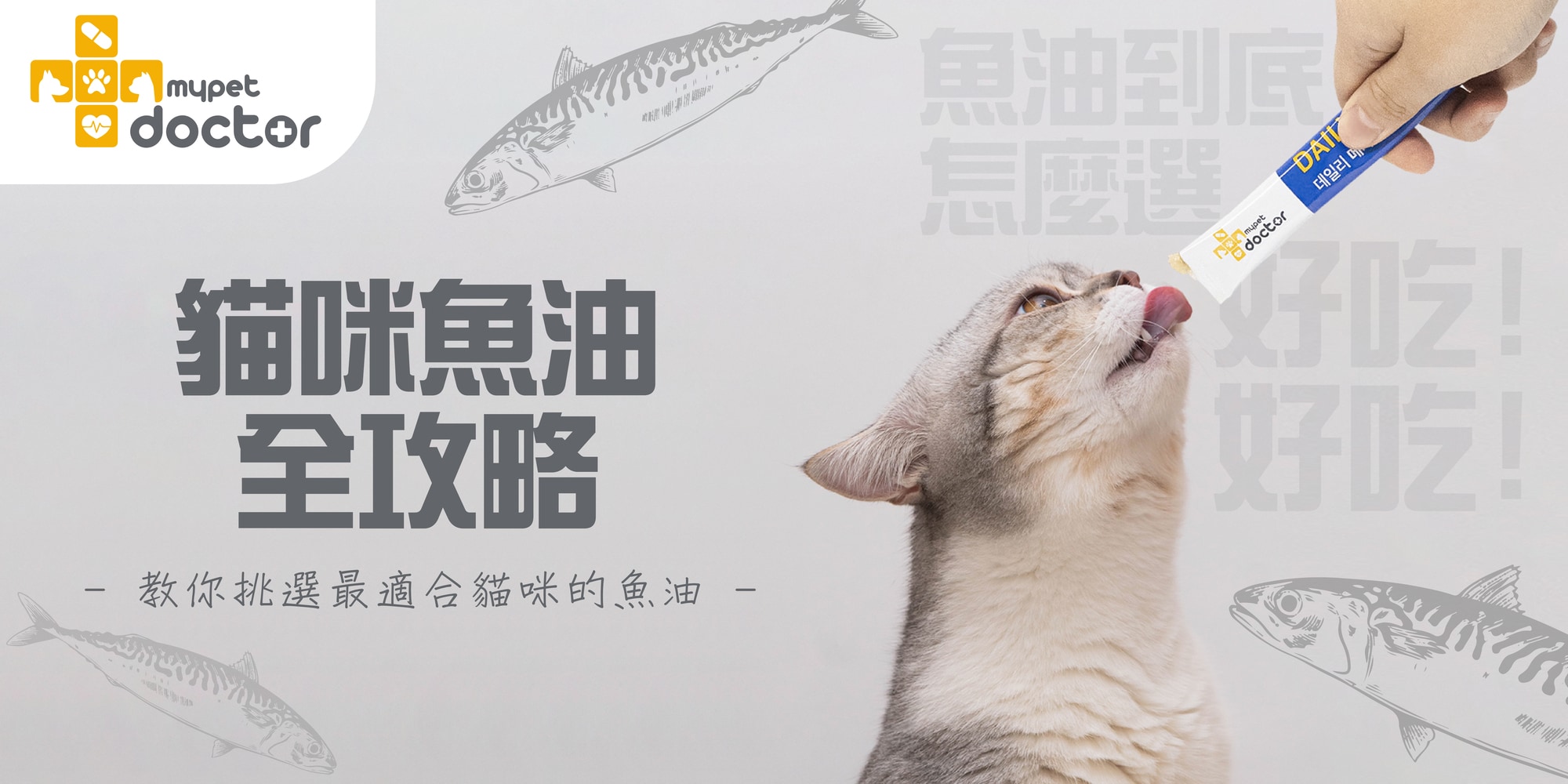 貓咪魚油全攻略：不同型態魚油的比較與優勢分析