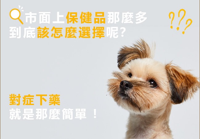 幫毛孩選擇保健品：從原料到功效，一次搞懂！