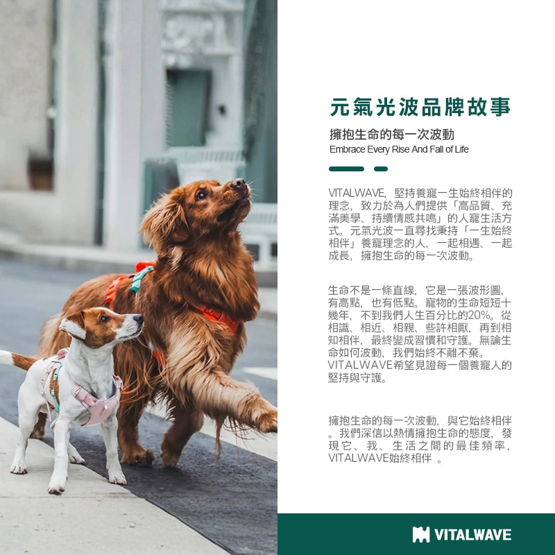 元氣光波品牌故事_台版