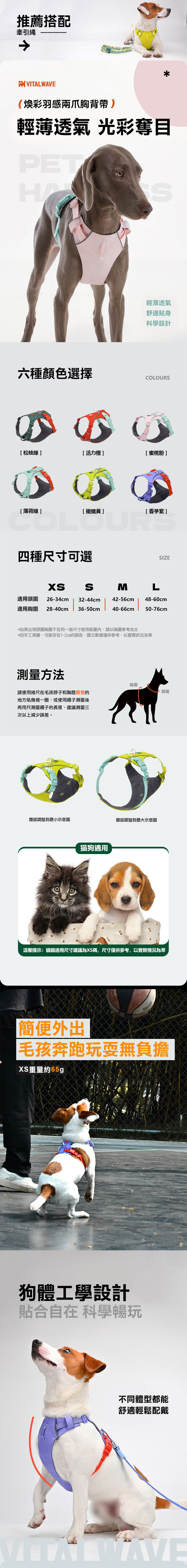 煥彩羽感胸背（兩爪）_台版_01