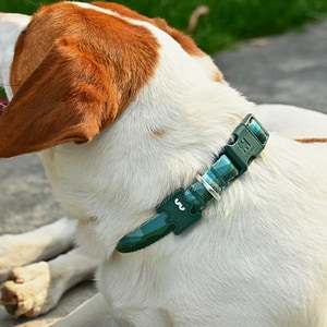 【元氣光波 VitalWave】漸變山海系列頸圈