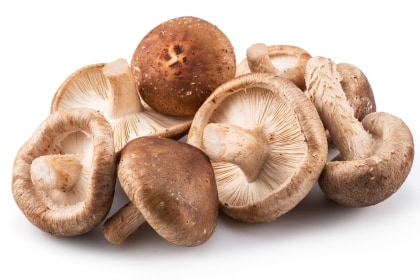 50 50