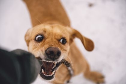 67 67