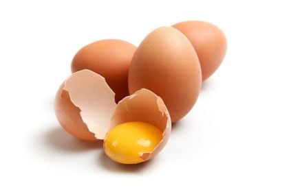 41 41