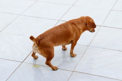 173 173