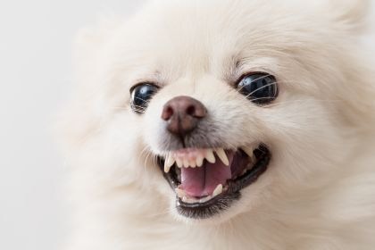 190 190
