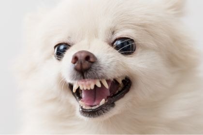 223