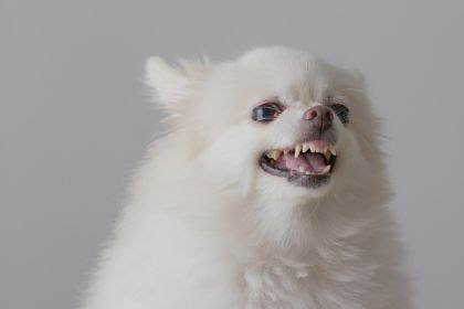 253
