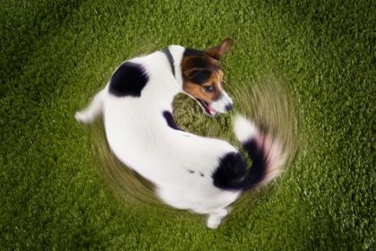 347