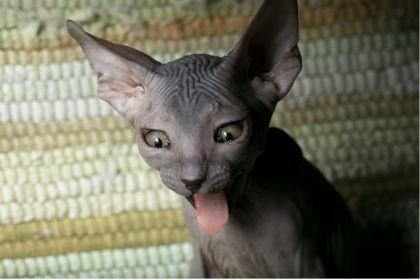 57 57