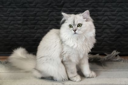 173 173