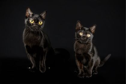337