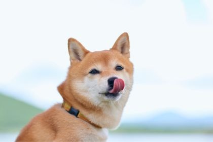 327 327