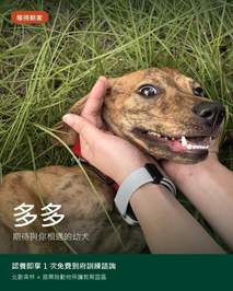 多多認養資訊卡