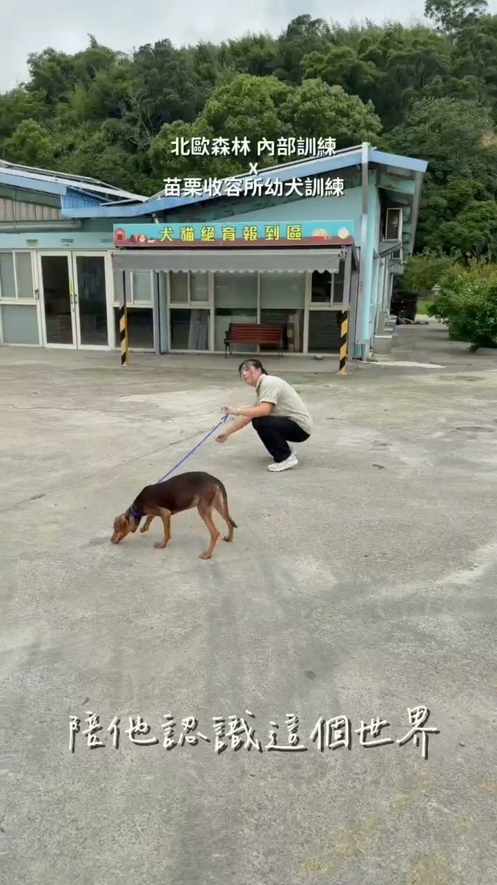 訓練師在苗栗縣動物保護教育園區裡,牽著幼犬陪牠認識環境