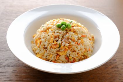 鮭魚蔬菜炒飯 - 為狗狗補充健康油質