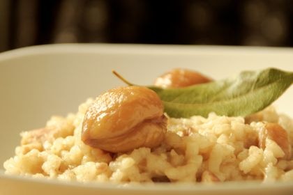 狗狗專屬 – 栗子雞肉燉飯