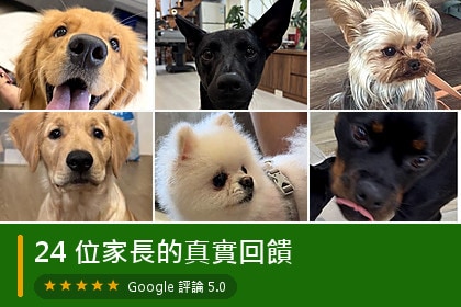 北歐森林評價｜24 則家長真實回饋：爆衝、吠叫、高敏感、咬人的改變紀錄