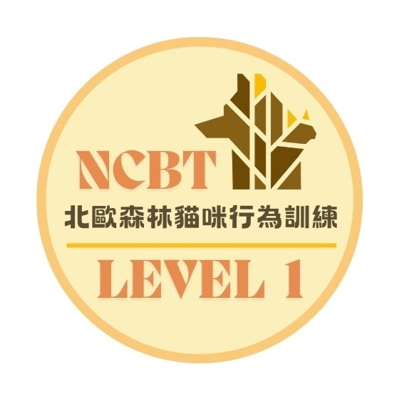 點擊察看NFBT-LEVEL1之課程簡介