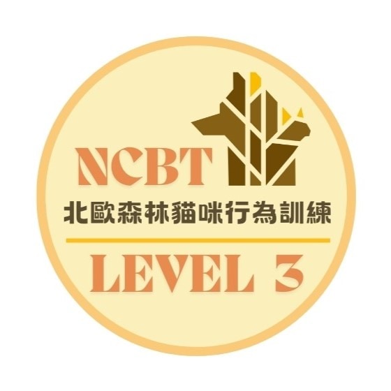 點擊察看NFBT-LEVEL3之課程簡介